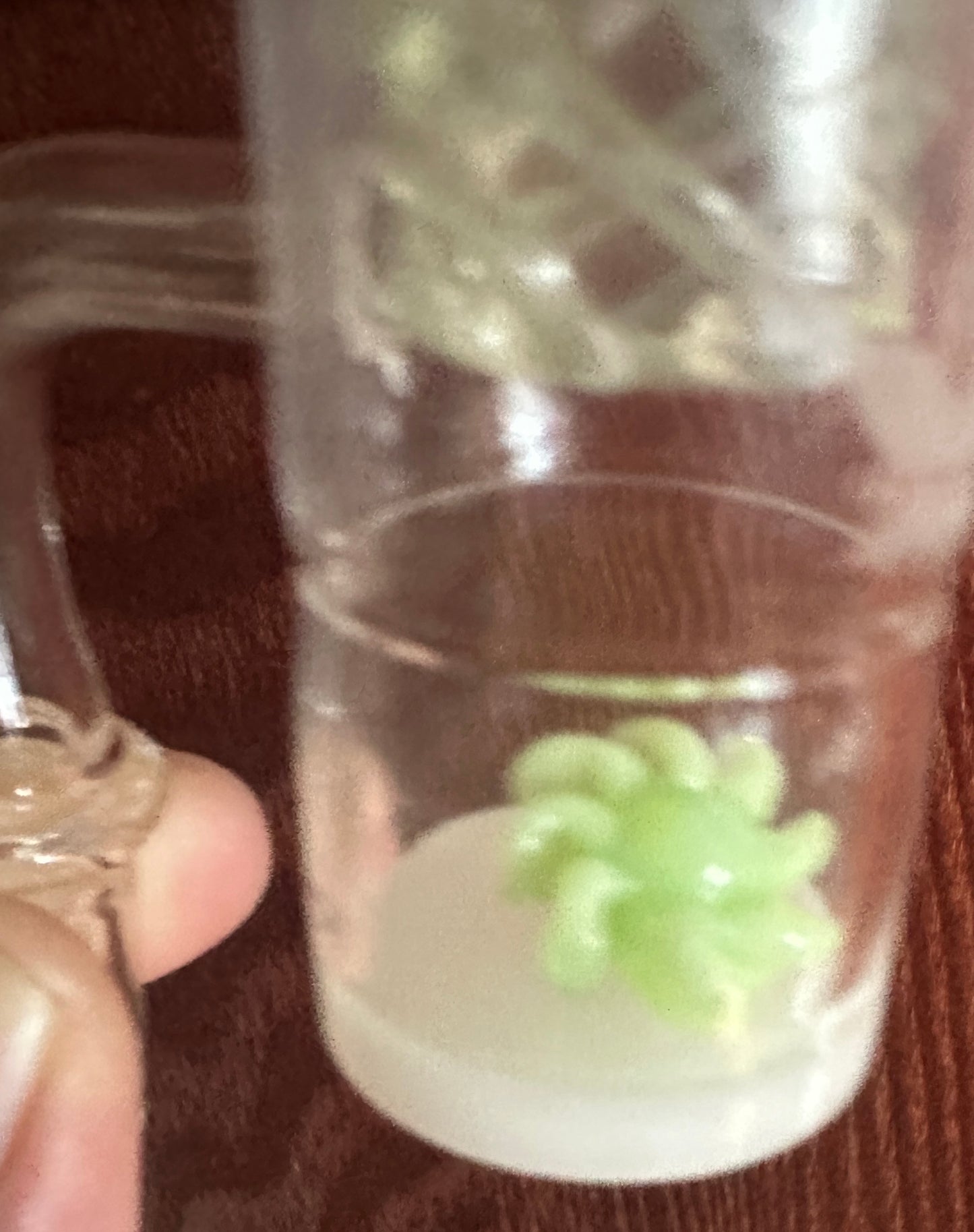 A Leaf - Quartz 14mm Banger w/ Wheel Kit