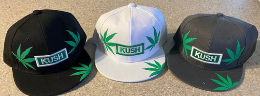 One Dozen Snap back Hats