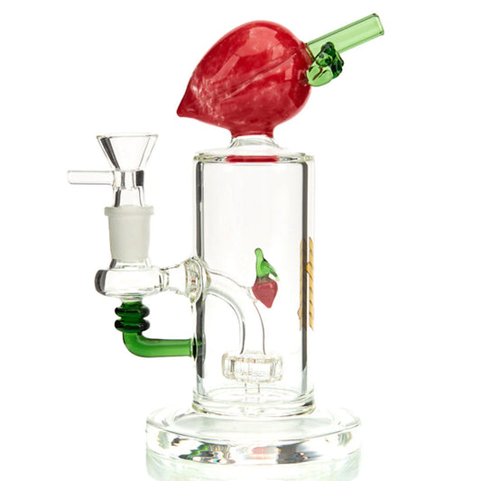 Glass 8” Fruit Mouthpiece and Perc Water Pipe