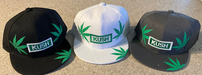 One Dozen Snap back Hats