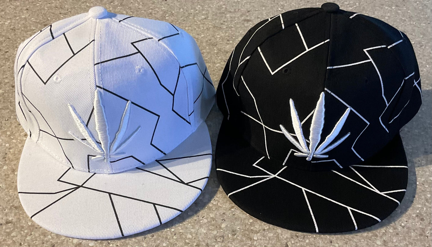 One Dozen Snap back Hats