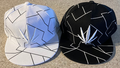 One Dozen Snap back Hats